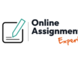 Online Assignment Expert